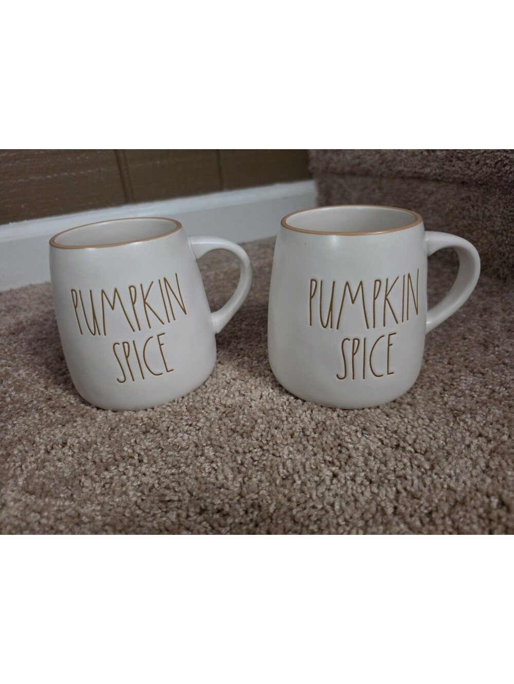 PUMPKIN SPICE Rae Dunn Mugs [COPY]
